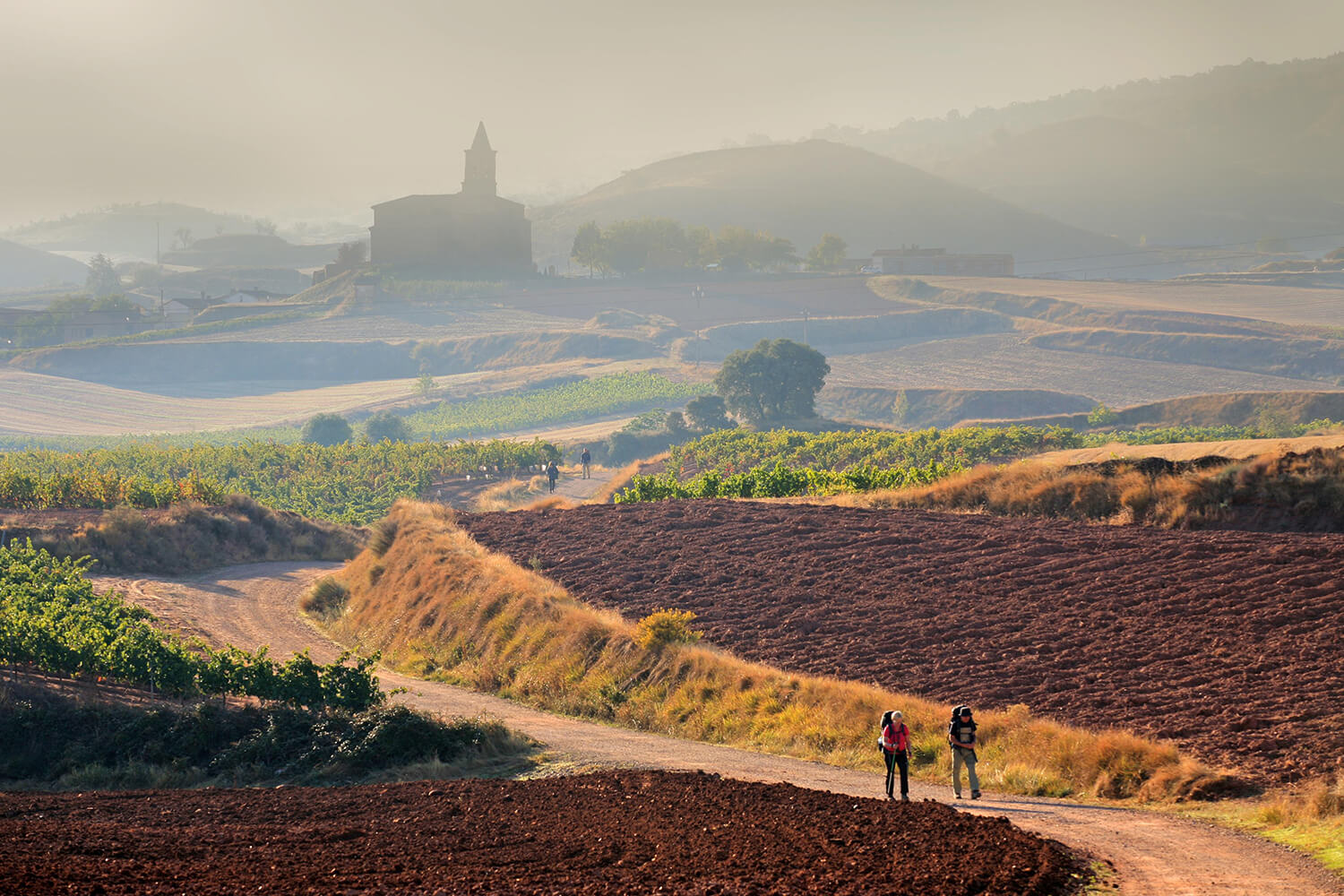 camino de.santiago