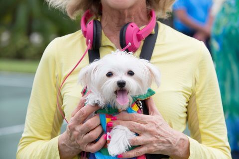 Obnoxious Puppy Parents: Puppy in a Papoose