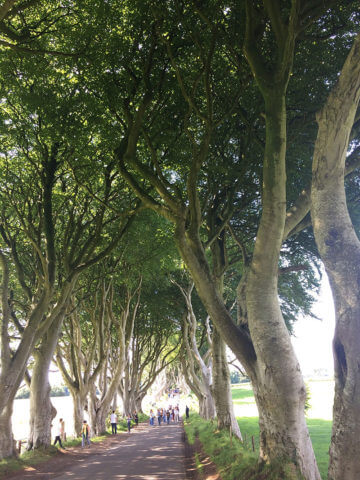 Game of Thrones Tour: Get Me to Kings Road