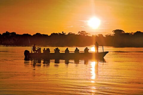 Traveling the Amazon River: One Writer's Life & Death Journey | NextTribe