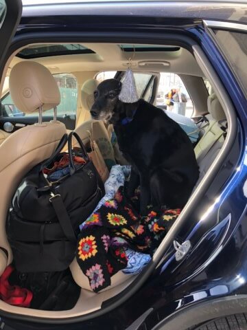 NextTribe road trip over 50