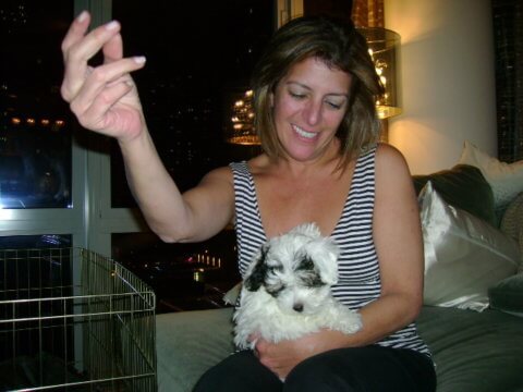 NextTribe fur babies pet parents