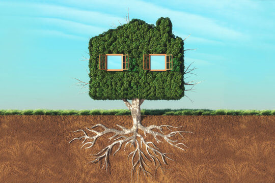 NextTribe eco friendly living