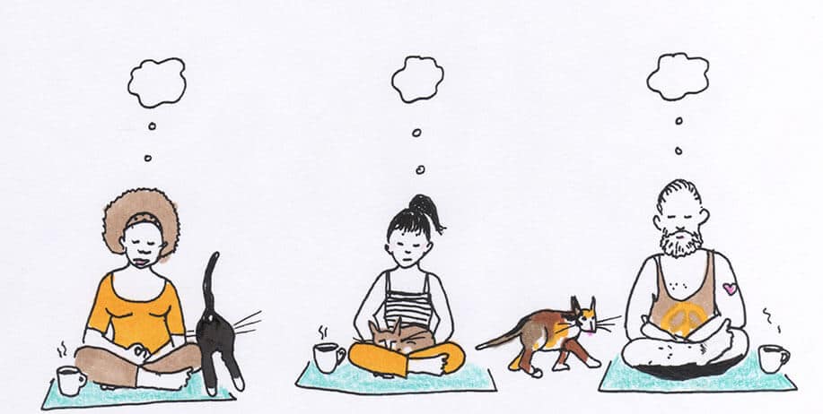 The Everyday Adventuress Takes a Cat Yoga Class