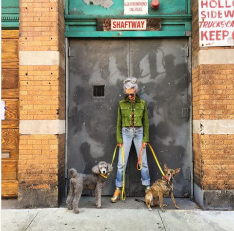Linda Rodin Street Style Is Officially a Thing for Dogs Now! | NextTribe