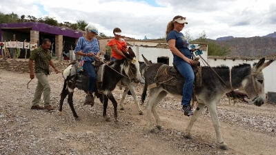 big bend marfa itinerary