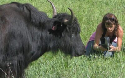 Face-to-Face with Wild Animals: One Woman’s Passion