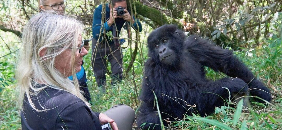 SOLD OUT: 13-Days on a Gorilla, Chimp and Wildlife Safari