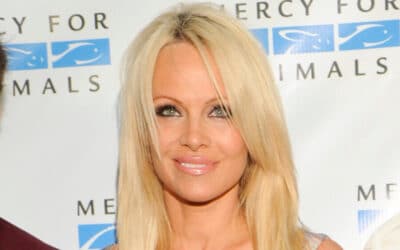 Twin? Finding Myself in Pamela Anderson’s New Documentary