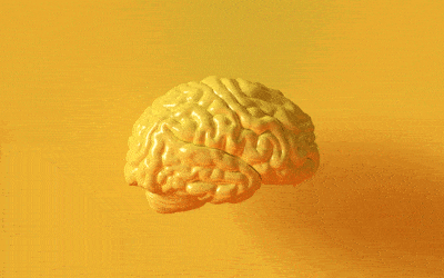 Another Form of Dementia: Maybe It’s Not Alzheimer’s