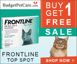 Frontline for Cats: Buy 4 Get 4 Doses Free + Extra Discount & Free Shipping