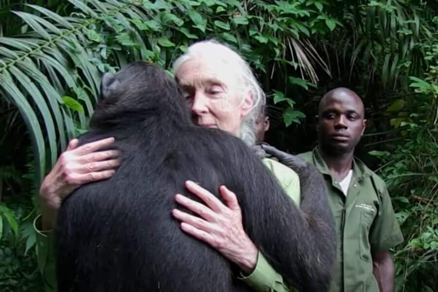 Jane Goodall Offers a Master Class in Letting Go of Kids