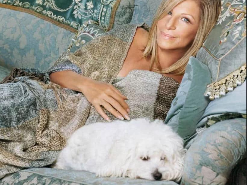 NextTribe Barbra Streisand pet cloning