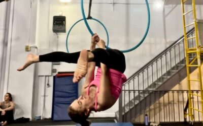 Time to Fly: Diary of an Old Aerialist