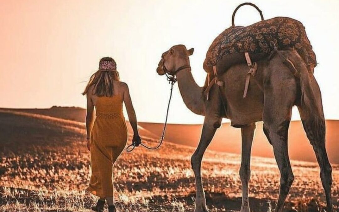 SOLD OUT: Explore Morocco in 13 Days: From Souks to Sahara – Cities, Mountains & Desert Luxury