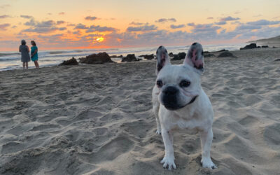 What to Do in Playa Troncones, Mexico: Your Idyllic Beach Vacay Awaits