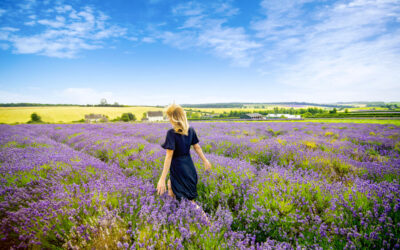 The Cotwolds and English Countryside: Let Your Inner Elizabeth Bennett Run Free